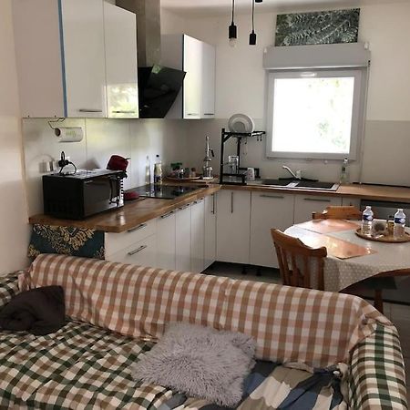 Logement Entier Entree Autonome Ch,Sdd,Cs Privatives Aussonne Exterior foto