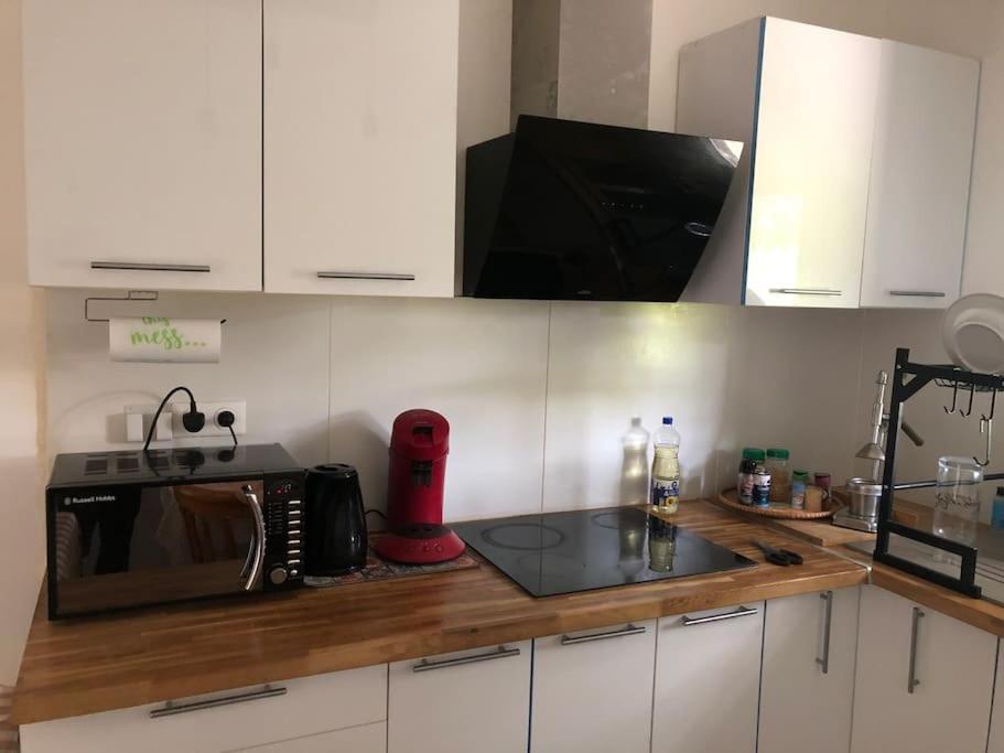 Logement Entier Entree Autonome Ch,Sdd,Cs Privatives Aussonne Exterior foto
